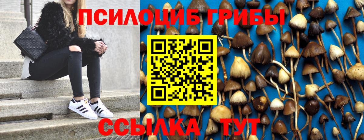 Галлюциногенные грибы Cubensis Десногорск